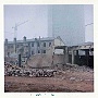 © Antonio Rossetto- Demolizione dei casini di Via Brancaleon-(1964)